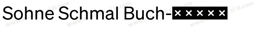 Sohne Schmal Buch字体转换